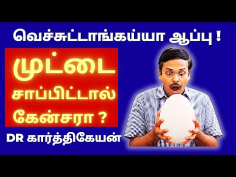 முட்டையில் உள்ள பிரச்சினை இதுதான்! can eating eggs cause cancer? health awareness