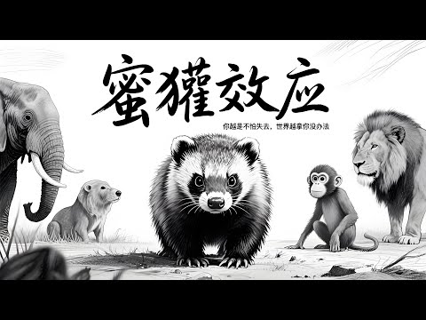 🦡心理学上有个词叫:蜜獾效应|你越是不怕失去,世界越拿你没办法