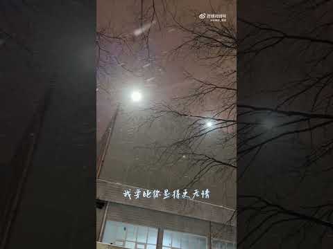 20260117 周深 Charlie Zhou Shen 微博更新:今年看的第一场雪