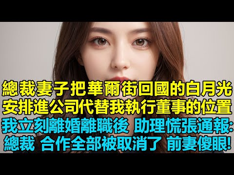 總裁妻子把華爾街回國的白月光學長安排進公司代替我執行董事的位置,我立刻離婚離職後,助理慌張通報:總裁,合作全部被取消了,前妻傻眼了!