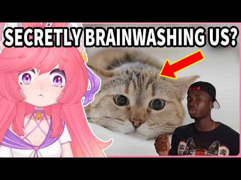 The Insane Plot Armor of Cats | Casual Geographics React