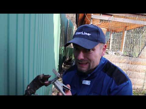 как избавиться от (уничтожить) кротов на участке