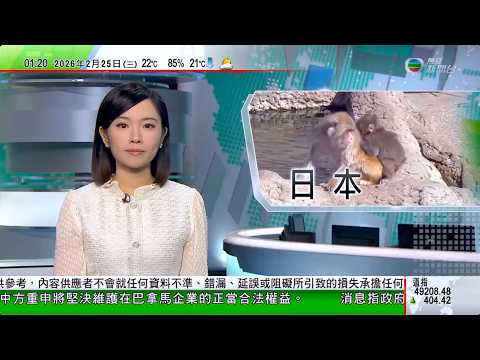 無綫TVB 0200新聞報道|暴風雪襲美國東北連日影響逾萬航班|日本獮猴BB被母棄養「寄情」公仔爆紅 美國網紅以折合近200萬港元提收購|日本不滿多家實體列入出口管制名單 北京強調中方措施正當合法|