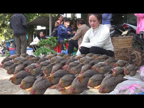 The whole market was surprised to see laying hens being sold at the market.