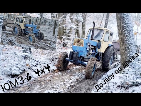 ЮМЗ-6 4×4 Заготовляємо дрова на зиму🚜