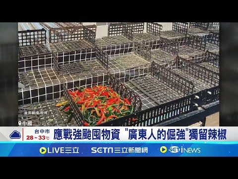 寧餓死不辣死?! "廣東人防颱倔強"不買辣椒 樺加沙將直撲廣東 直擊深圳民眾採買搶食材 廣東人有辣不歡? 火雞麵淪"被嫌棄的選手"|記者 楊駿宗|國際焦點20250923|三立新聞台