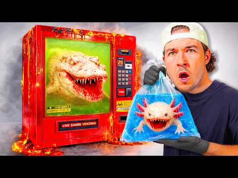 I Bought Dangerous Fish from a Live Fish Vending Machine...