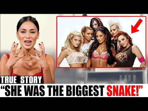 Here's What REALLY DESTROYED 'The Pussycat Dolls' group!