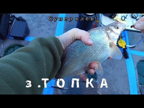 РЫБАЛКА и НОЧЁВКА в зимней палатке/Отменный Клёв/Первый лёд 2025-2026