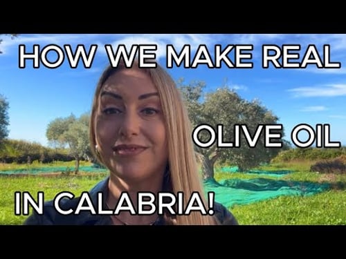๐ฎ๐น From Olive to Oil | Traditional Olive Oil Making in Santa Maria del Cedro, Calabria ๐ซโจ