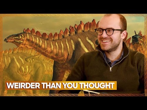 Inside The Bizarre Biology Of The Stegosaurs