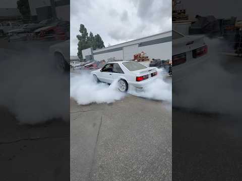 Foxbody Mustang BIG BURNOUT! #cars #fordperformance #carshorts #cartok #mustang