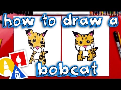 How To Draw A Cartoon Bobcat