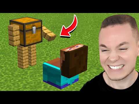 Minecraft, aber ALLES OHNE LOGIK!