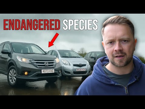 The Used-Car Extinction Is Closer Than You Think