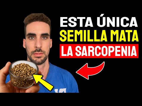 La mejor semilla para fortalecer las piernas en adultos mayores - Mata la Sarcopenia