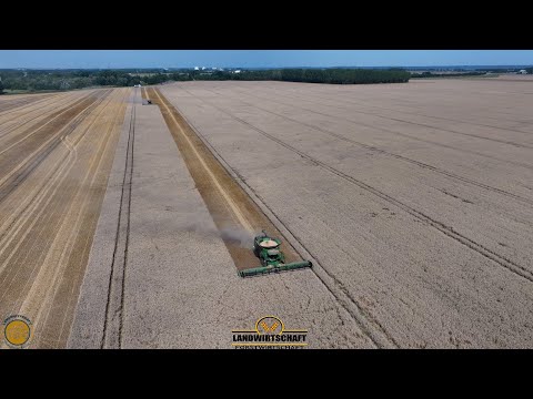 Wir Dreschen die 150ha Große Fläche an einem Tag! Baltic Agrar 6000ha Getreideernte 2 Mähdrescher