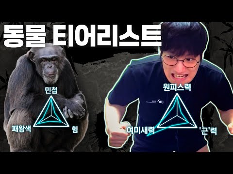 침팬지 VS 윤가놈 우열 모르네요【동물 싸움 티어리스트】