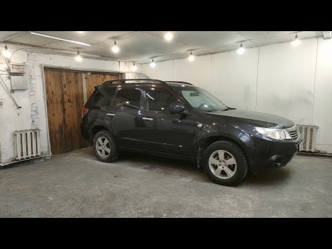 Subaru Forester: bumper repair, door painting with transition to adjacent elements