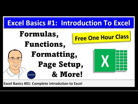 Excel 365 Basics #1: What is Excel?, Formulas, Functions, Formatting, Cell References & Page Setup