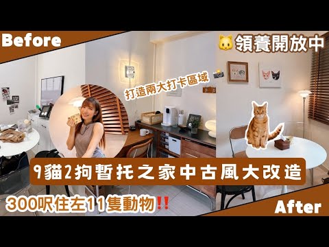 【Kira Vlog】我要做個收納師ep.31 | 《素人家居改造系列》 9貓2狗暫托之家中古風大改造✨300呎住左9貓2狗2人‼️😂每個角落都係studio拍攝場景😍領養開放中🐱