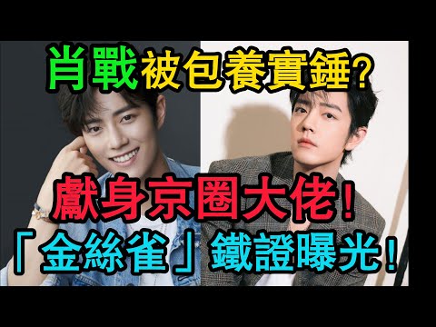 肖戰包養石錘!獻身京圈大佬“鐵證”全曝光?9年純情人設一夜崩塌,他竟是資本“金絲雀”!#肖戰