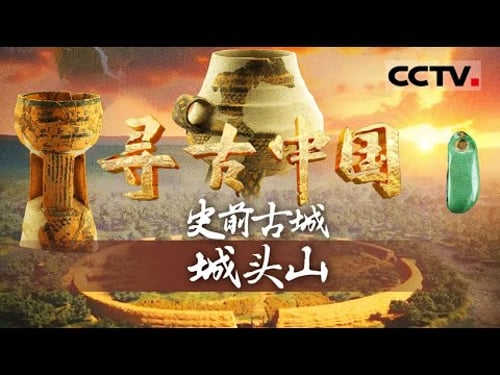《寻古中国》史前古城城头山:探秘目前已知中国最早的城 竟然是从稻田里长出来的 距今约6300多年【CCTV纪录】