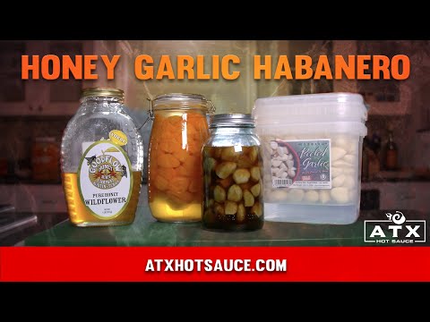 Fermented Garlic Honey and Habanero Hot Sauce