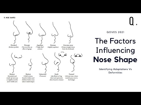How Climate Influences Your Nose Shape | Defining Beauty