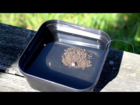 Fishing Pellets - Flat Feeder Fishing