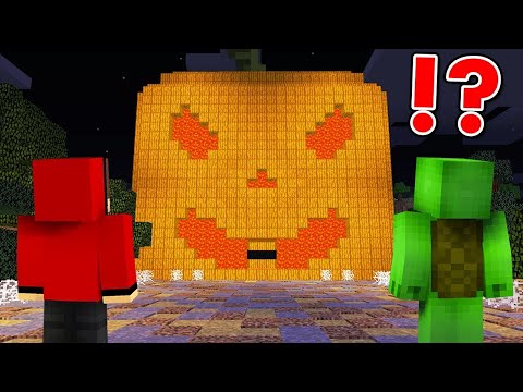 Go Inside A Giant Pumpkin