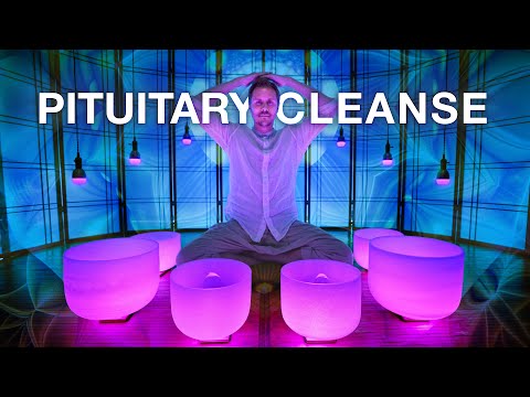 Pituitary Gland Sound Bath for *METABOLISM* and Stress Reduction | Energy Cleansing Singing Bowls