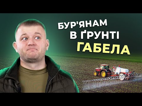 ҐРУНТОВИЙ ГЕРБІЦИД НА КУКУРУДЗУ – КОМУ І КОЛИ ПОТРІБЕН?