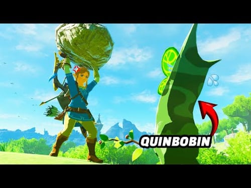 He thought he was better than me at BREATH OF THE WILD/TEARS OF THE KINGDOM...