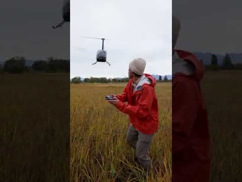 RC Helicopter Trick