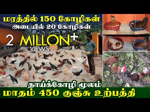 நாட்டுக்கோழி வளர்ப்பில் மரமே போதும்- சாதித்த பண்ணையாளரின் அனுபவ பதிவு