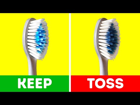 The Secret Lives of Ordinary Things You Use Every Day