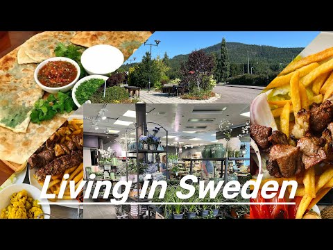 #AfghanFood #BolaniRecipe #MorningVIog #RoadTripVibes #SlowLiving #AfghanGirl🌿