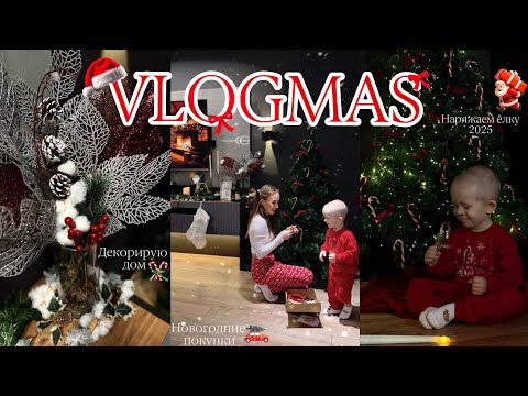 VLOGMAS🎅| Winter vlog: decorating the house for New Year's, putting up the Christmas tree, New Ye...