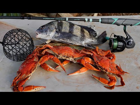 Black Drum & Blue Crab Catch n' Cook 2 DAYS at the Coast!