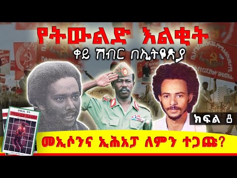 ኢሕአፓና መኢሶን ለምን ተጋጩ?|| የትውልድ እልቂት!||ቀይ ሽብር በኢትዮጵያ||ሜዳ ትረካ||ክፍል ፡8||ጸሀፊ፡ ባቢሌ ቶላ||ትርጉም፡ አውግቸው ተረፈ