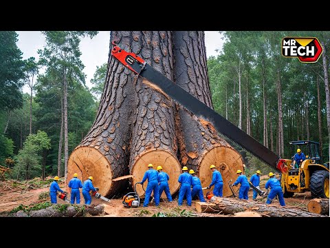 Extreme Dangerous Fastest Big Chainsaw Cutting Tree Machines | Monster Stump Removal Excavator #59