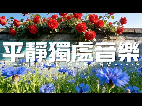 【Peaceful Piano Music】聽到就讓內心平靜及舒暢!60分鐘的柔和旋律瞬間驅散焦慮煩悶,伴你度過悠然時光。非常適合用於冥想、瑜伽、睡前放鬆,或作為療愈的背景音樂!