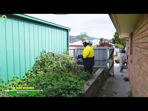 Can 20 Hours of Yard Work REALLY Change a Single Mum's Life? (Part 2)