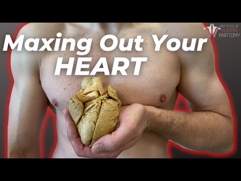 The Exercise That Prolongs Life