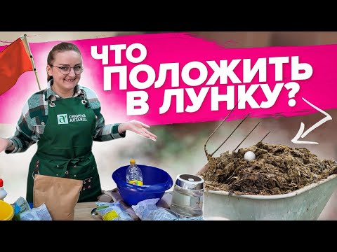 ЧТО ПОЛОЖИТЬ В ЛУНКУ ПРИ ПОСАДКЕ РАССАДЫ?! Как правильно использовать нашатырный спирт