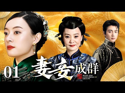 【好看的电视剧】妻妾成群 01 | 宅门妻妾斗,恩怨情仇何时了(孙俪 / 刘雪华 / 陈晓)