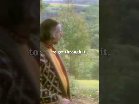 Alan Watts - Everywhere at Once