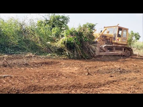 Awesome Bulldozer forestry clearing operators Caterpillar D6D