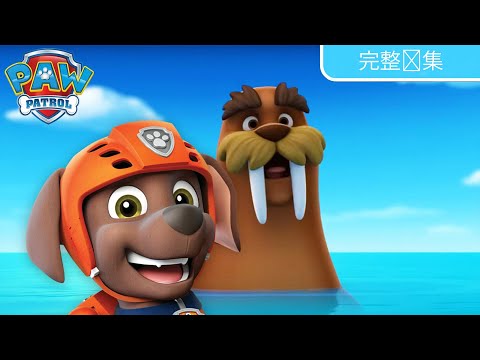 汪汪队救援海象 – 完整剧集 – PAW Patrol 汪汪队立大功 – 儿童卡通